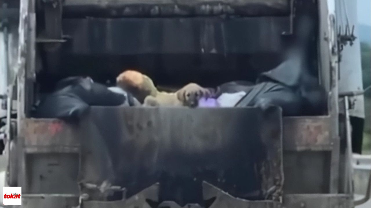 tokat belediyesinden yaniltici paylasima tepki adli surec baslatildi.jpg