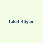 Tokat Köyleri