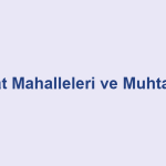 Tokat Mahalleleri ve Muhtarları