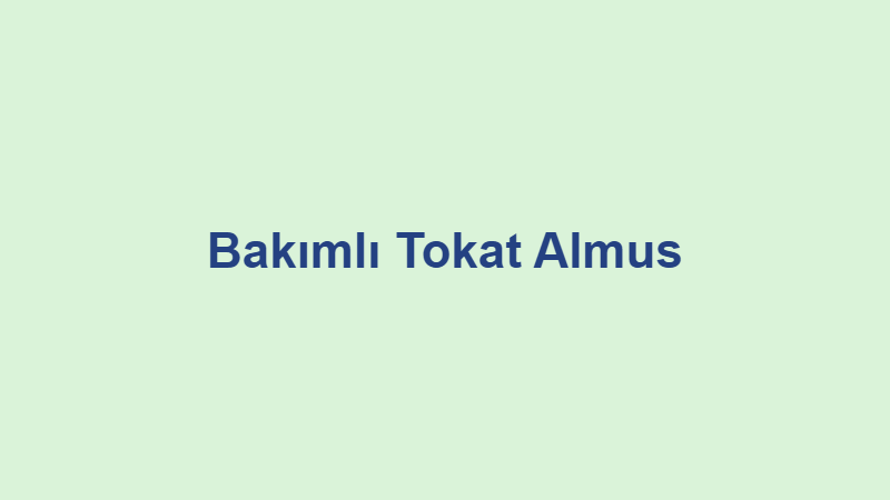 Bakımlı Tokat Almus Bakımlı Tokat Almus