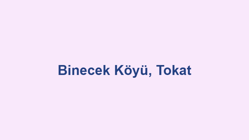 binecek koyu tokat.jpg