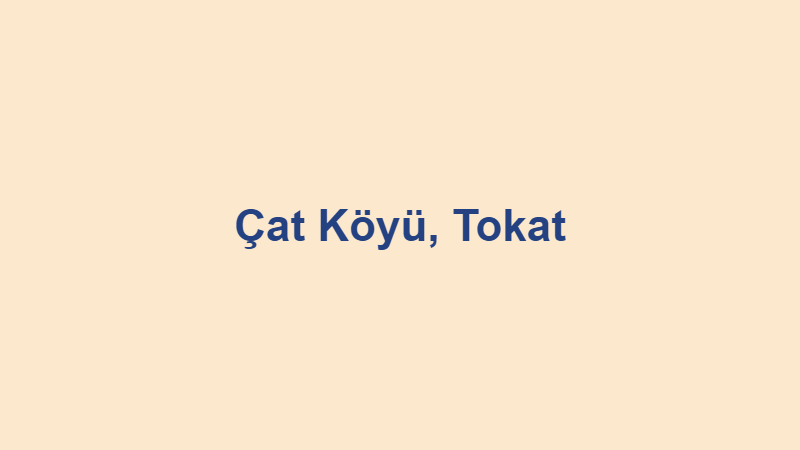 cat koyu tokat.jpg