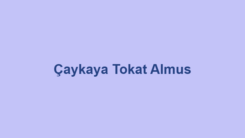 caykaya tokat almus.jpg