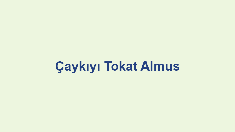 caykiyi tokat almus.jpg