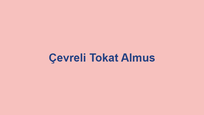 cevreli tokat almus.jpg