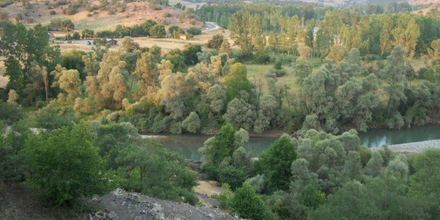 Çilehane Tokat Almus