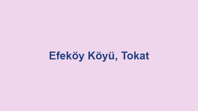 Efeköy Köyü, Tokat