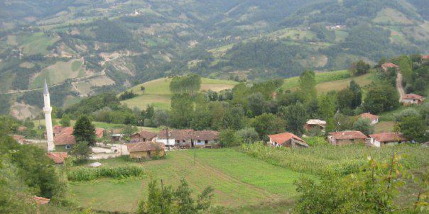 İkizce, Tokat Erbaa