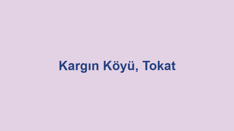 kargin koyu tokat.jpg