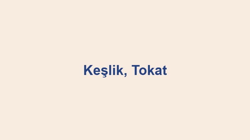 keslik koyu tokat.jpg