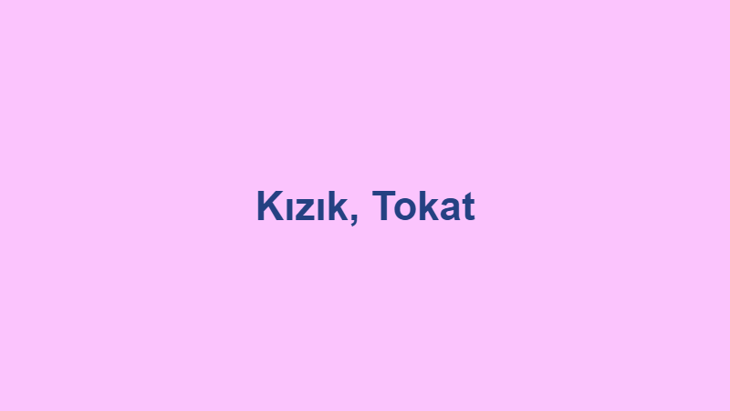 kizik koyu tokat.jpg