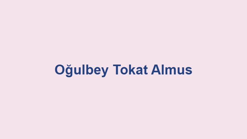 ogulbey tokat almus.jpg