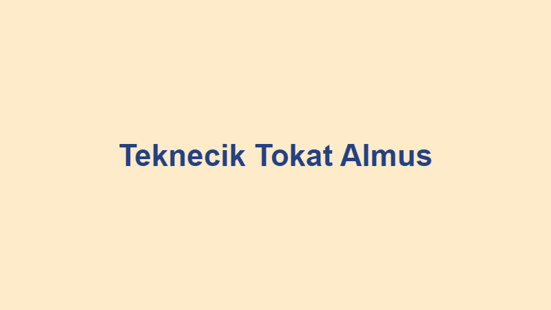 teknecik tokat almus.jpg