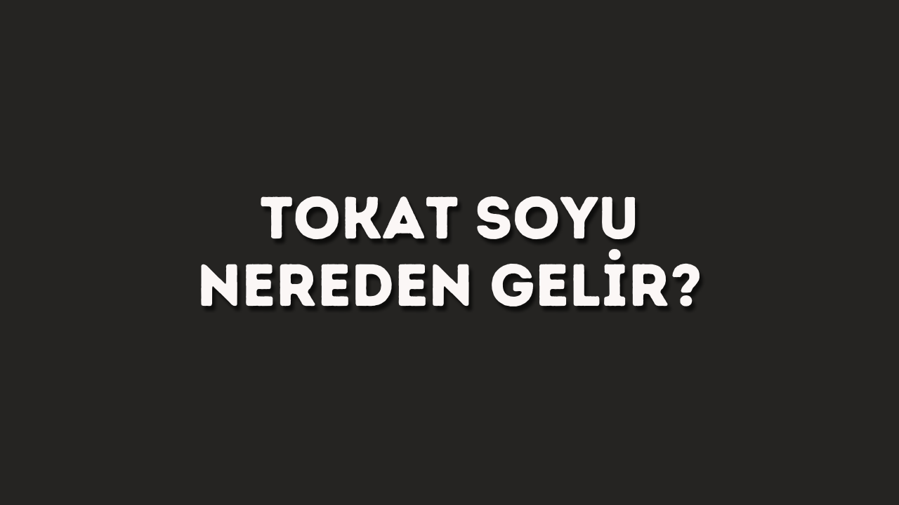 tokat soyu nereden gelir.jpg