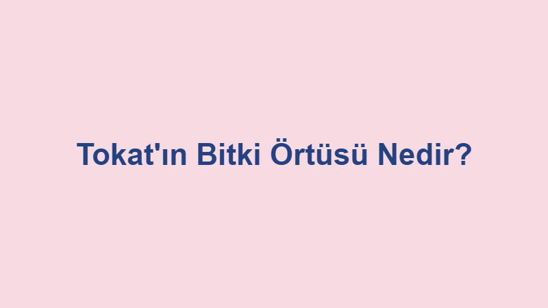 tokatin bitki ortusu nedir.jpg