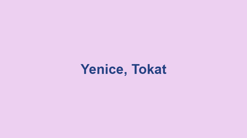 yenice koyu tokat.jpg
