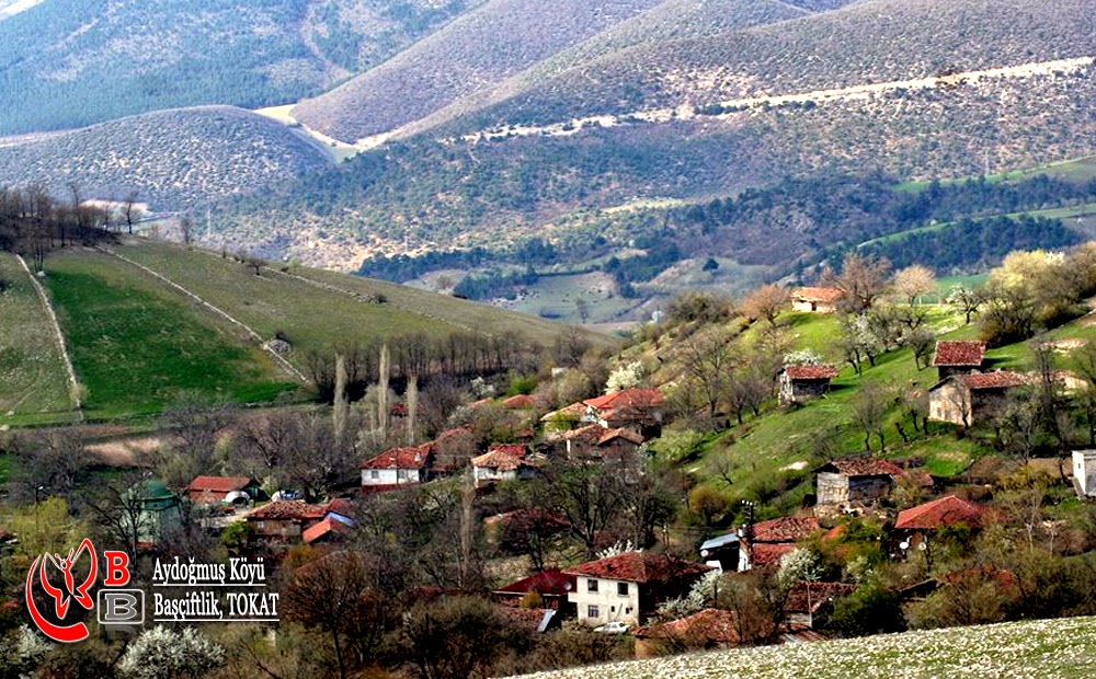 Aydoğmuş Başçiftlik, Tokat
