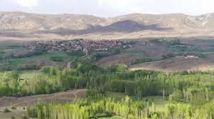 Bayazıt Sulusaray, Tokat