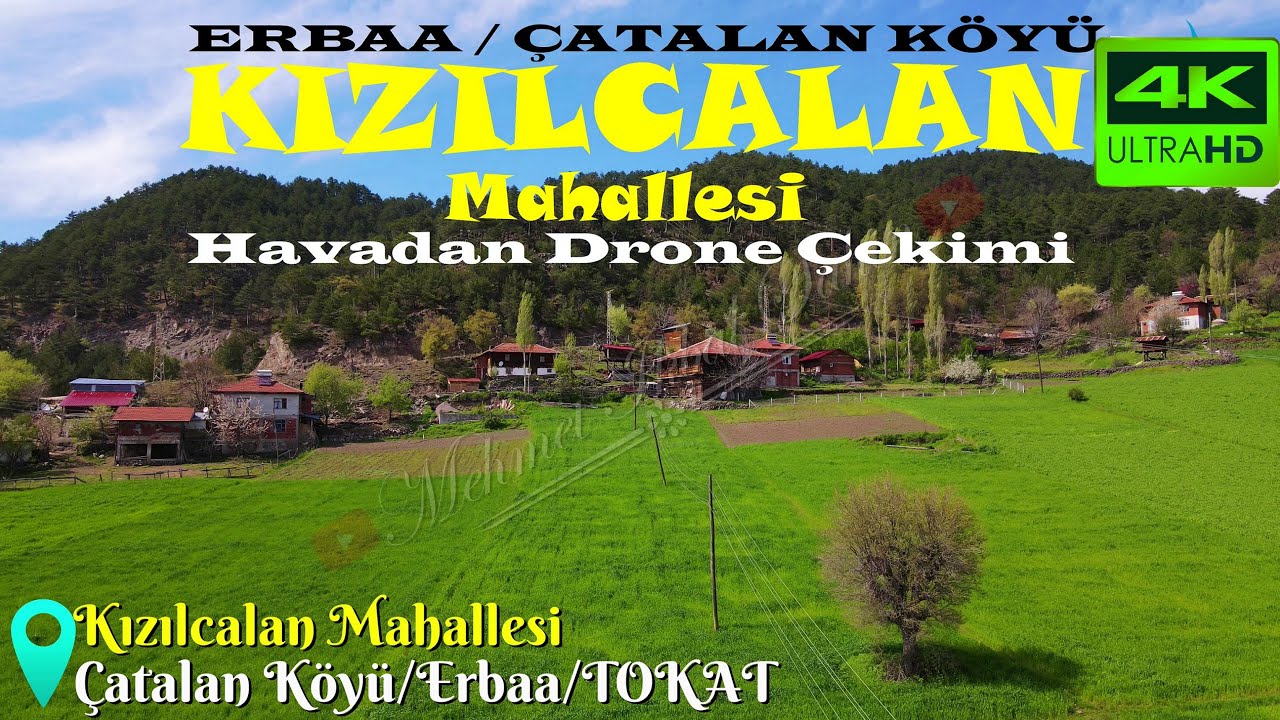 catalan tokat erbaa.jpg