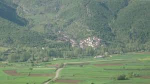 Tanyeli Artova, Tokat