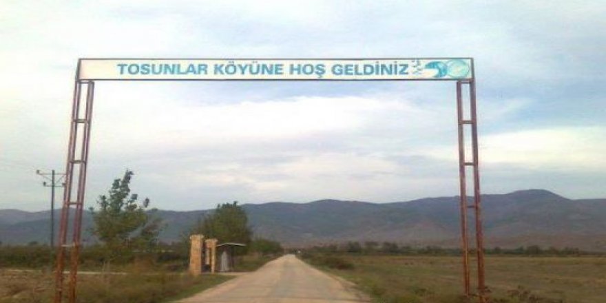 tosunlar tokat erbaa.jpg