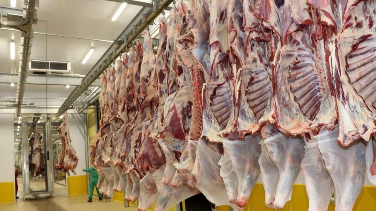 Tokat’ta Güncel karkas et fiyatları açıklandı! ESK 500 tonluk yeni ithalat sözleşmesi yapmıştı!