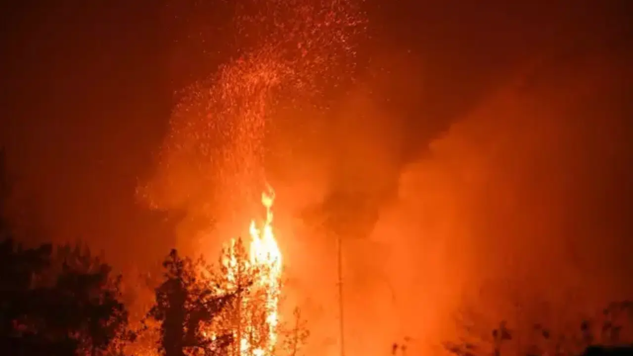 Bursa Orman Yangını Şüphelisi Kim? FETÖ Bağlantısı Var mı? Gözaltındaki Zanlı Hakkında Yeni Detaylar