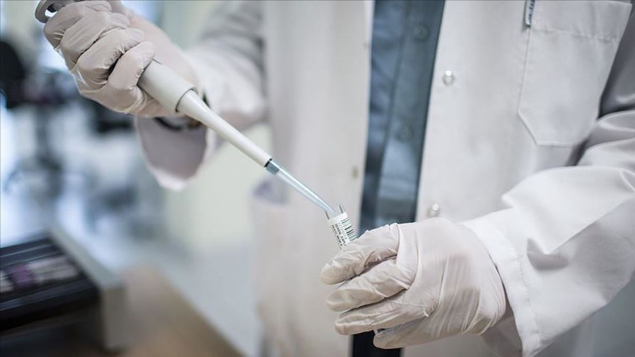 Anti HIV Nedir? HIV Tedavisinde Kullanılan İlaçlar ve Önemi Anti HIV Nedir? HIV Tedavisinde Kullanılan İlaçlar ve Önemi