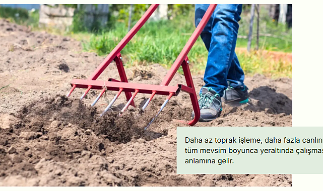 Çiftlikte Besin Döngüsü Nedir?  Hemen Uygulamanız Gereken 5 Etkili Yöntem Nelerdir?