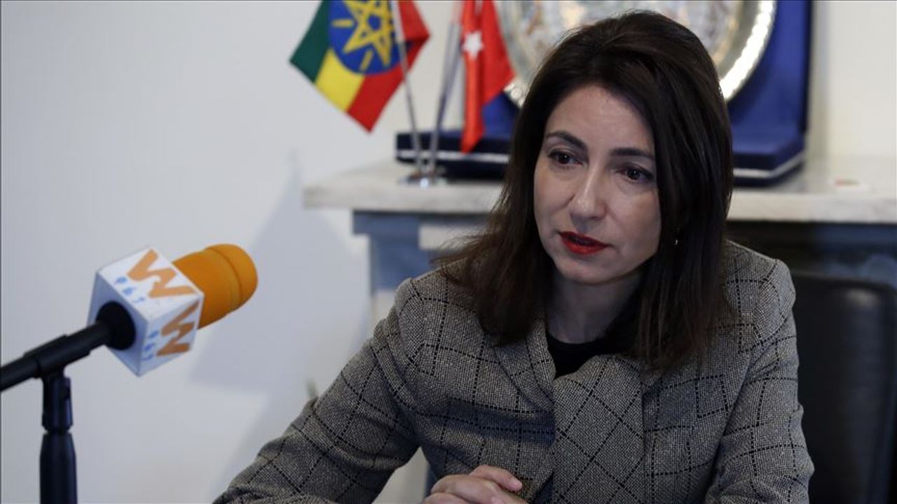 Türkiye’nin Avrupa Birliği temsilcisi Yaprak Balkan kimdir? Türkiye’nin Avrupa Birliği temsilcisi Yaprak Balkan kimdir?