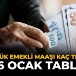 Emekli Maaşlarında 2026 İkinci Yarı Planı Sızdı: Yüksek Oranlı Zam ve Ek Ödeme!
