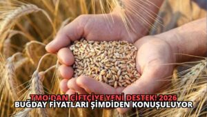 TMO’dan Çiftçiye Yeni Destek! 2026 Buğday Fiyatları Şimdiden Konuşuluyor