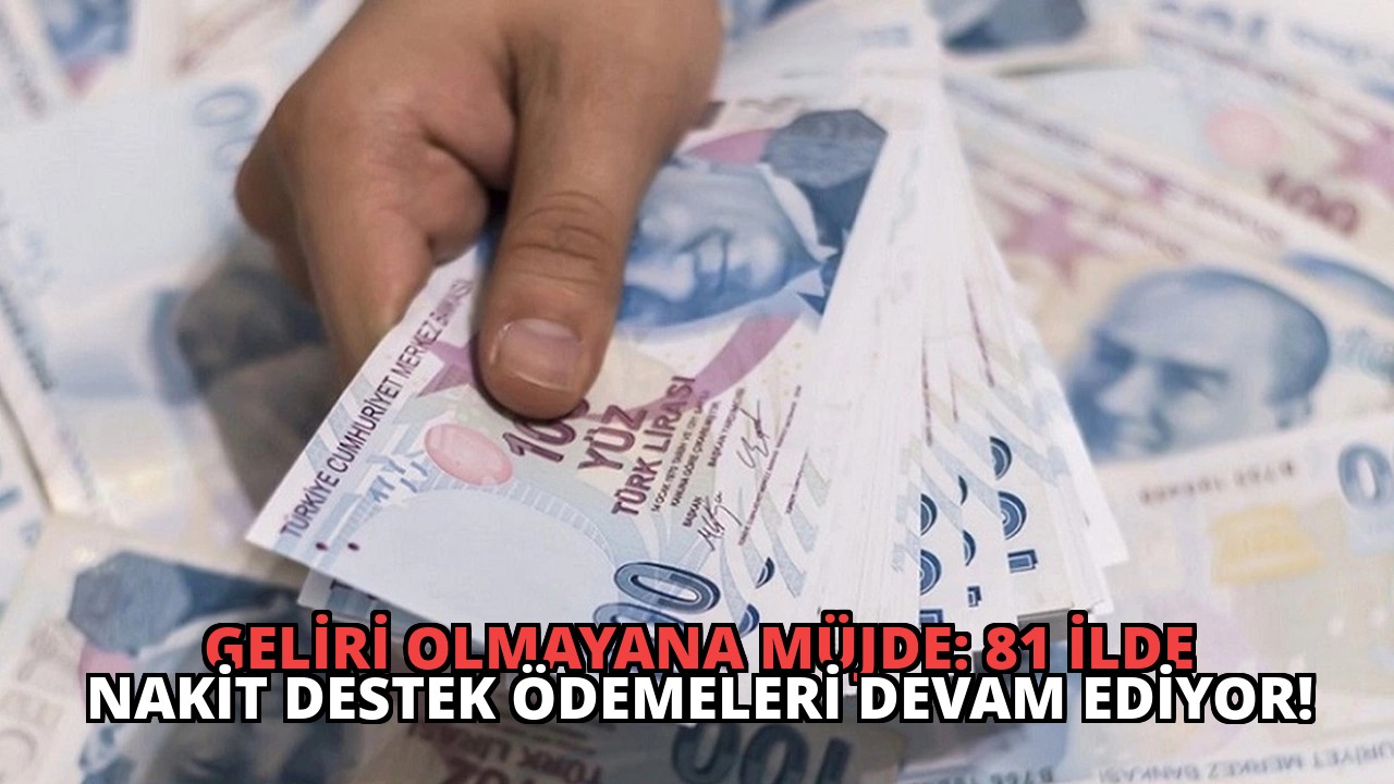 Geliri Olmayana Müjde: 81 İlde Nakit Destek Ödemeleri Devam Ediyor!