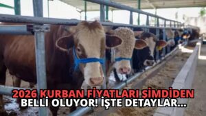 2026 Kurban Fiyatları Şimdiden Belli Oluyor! İşte Detaylar…