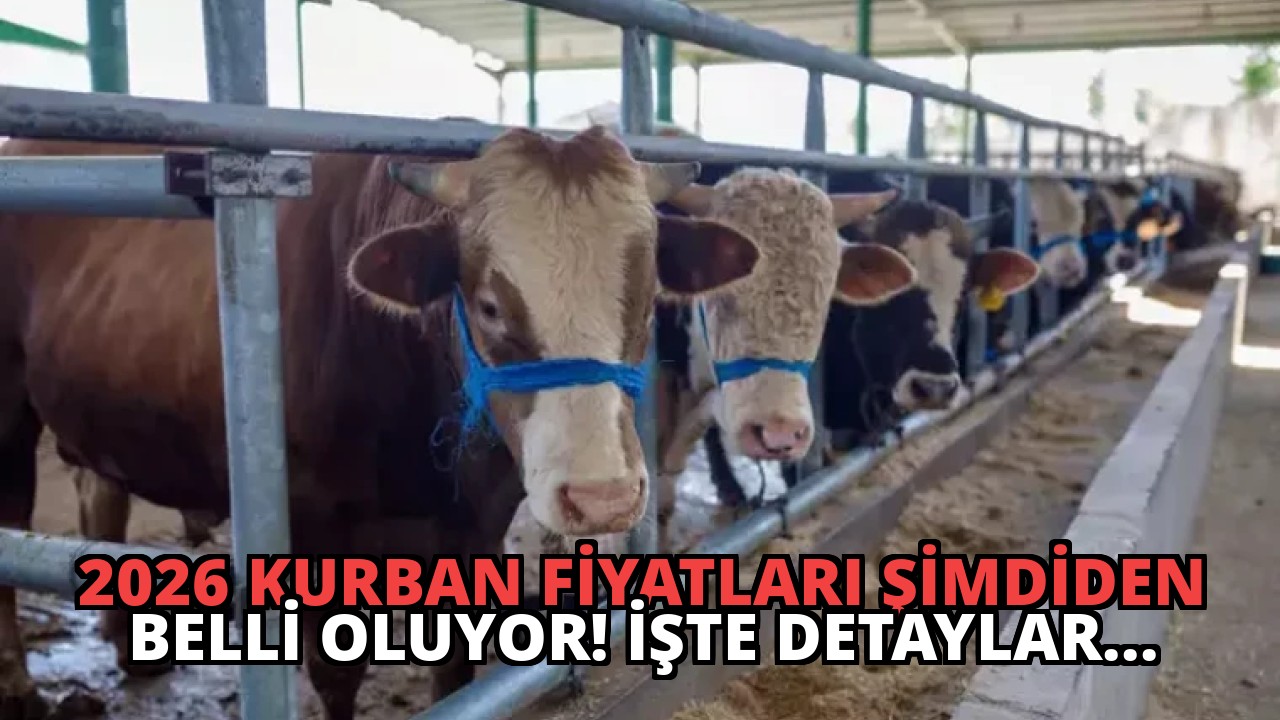 2026 Kurban Fiyatları Şimdiden Belli Oluyor! İşte Detaylar…