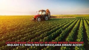 Çiftçiye Müjde: 2026 Mazot ve Gübre Desteği Ödemeleri Başladı! T.C. Kimlik No ile Sorgulama Ekranı Açıldı!