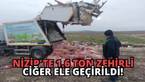 Nizip’te 1.6 Ton Zehirli Ciğer Ele Geçirildi!