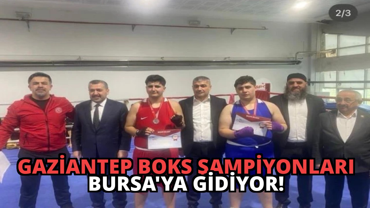 Gaziantep Boks Şampiyonları Bursa’ya Gidiyor!
