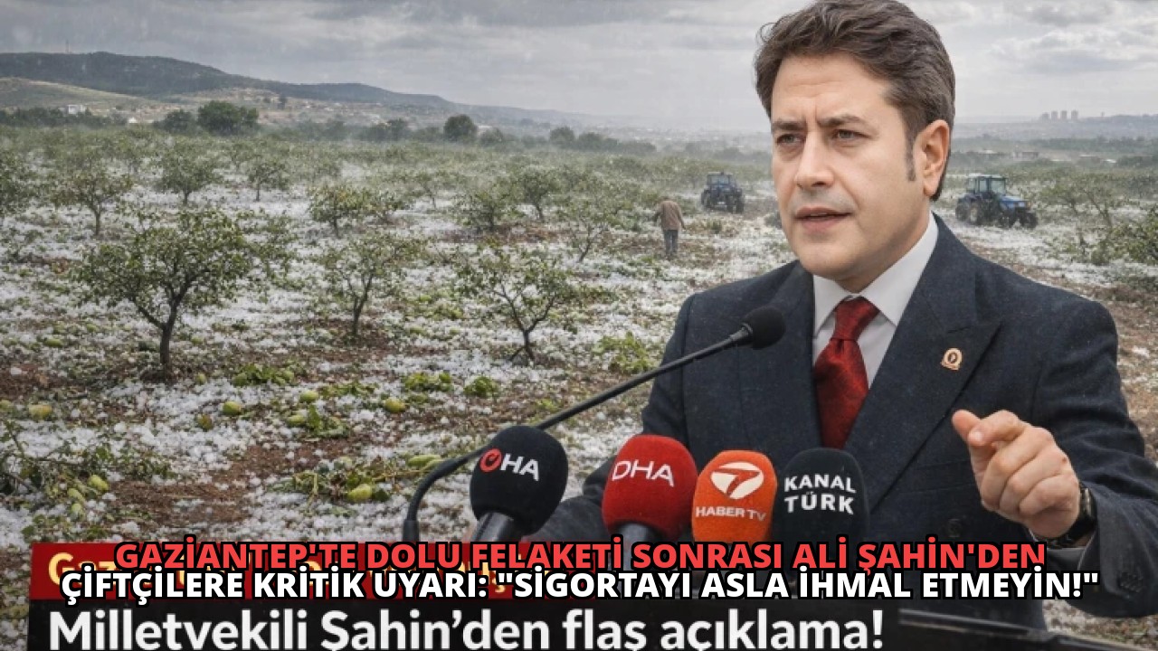 Gaziantep’te Dolu Felaketi Sonrası Ali Şahin’den Çiftçilere Kritik Uyarı: “Sigortayı Asla İhmal Etmeyin!”