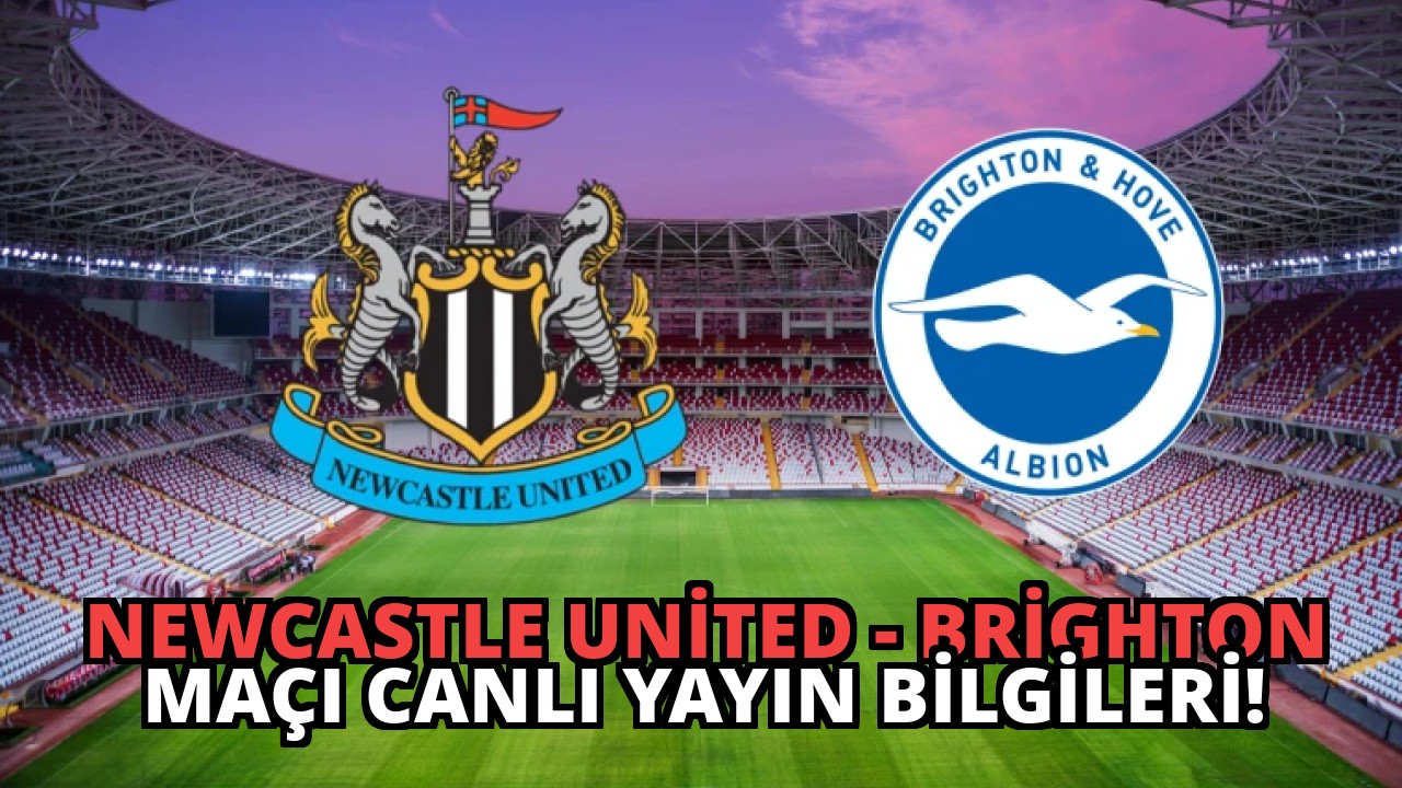 Newcastle United – Brighton Maçı Canlı Yayın Bilgileri!