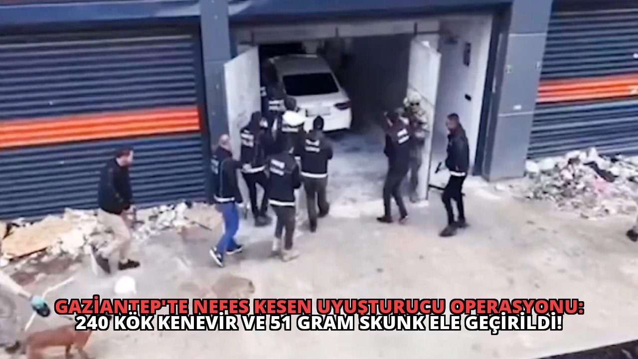 Gaziantep’te Nefes Kesen Uyuşturucu Operasyonu: 240 Kök Kenevir ve 51 Gram Skunk Ele Geçirildi!